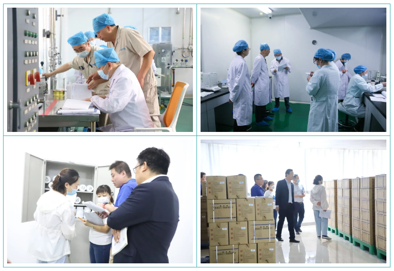 PT视讯(中国区)官网股份GMP符合性检查圆满结束