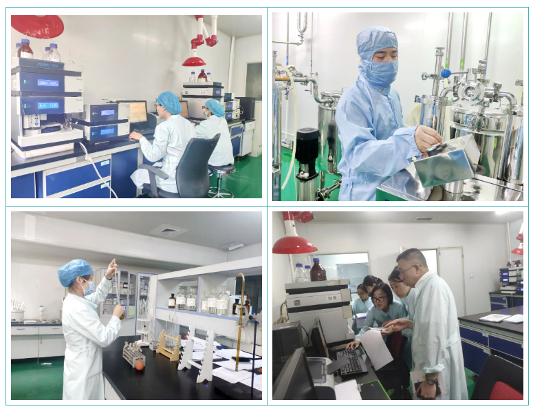 PT视讯(中国区)官网股份GMP符合性检查圆满结束